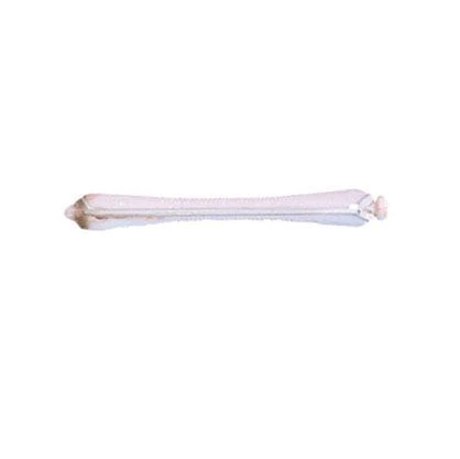 Bigoudis permanente blanc/rose 6mm x12 - Image 3