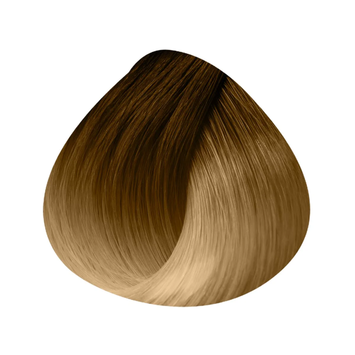 Extensions Adhésives INVISIBLES Ombrées Largeur 4cm X6 Bandes 50/55cm - Image 9