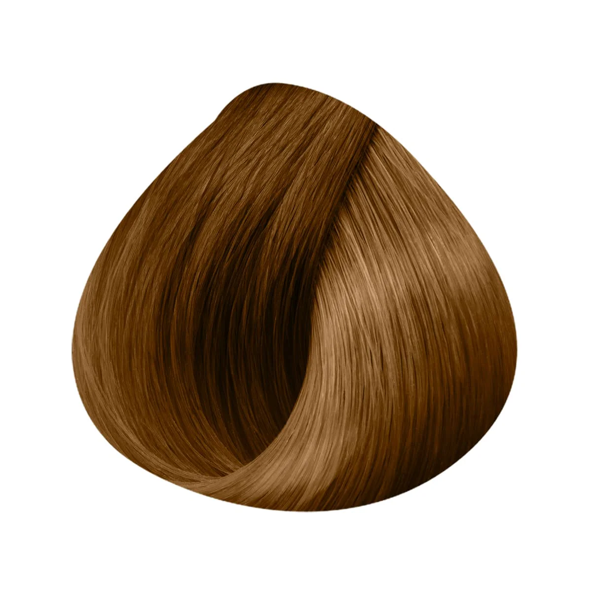 Extensions Kératine 25 Mèches 40/45cm - Image 19
