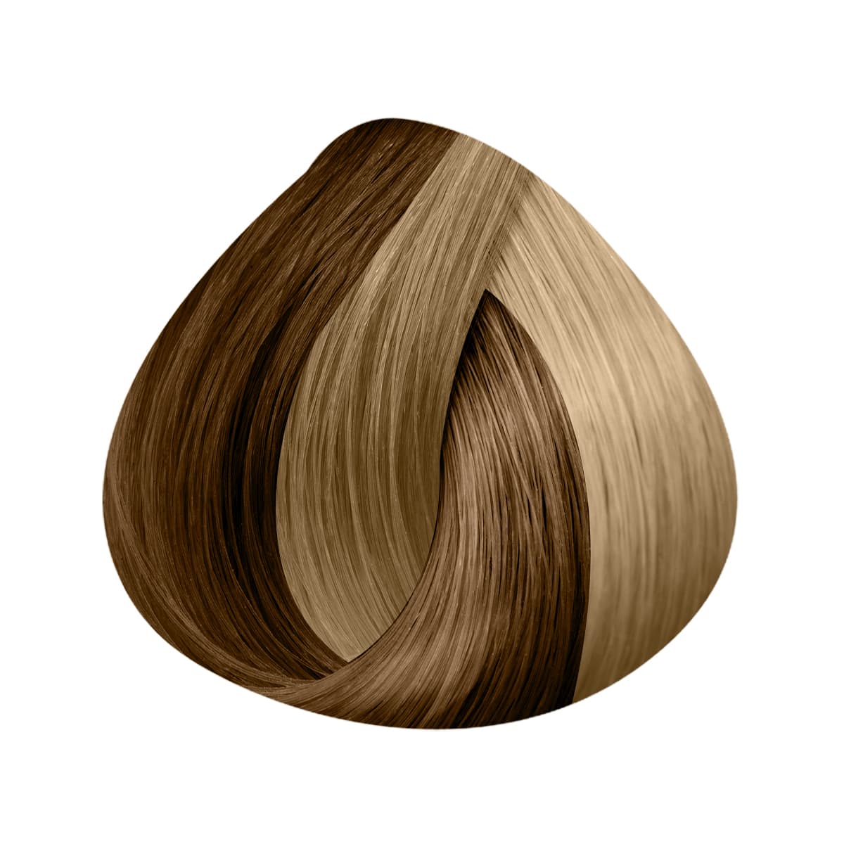 Extensions Kératine 25 Mèches 40/45cm - Image 39