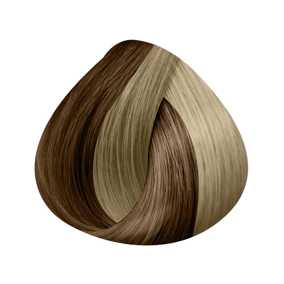 Extensions Kératine 25 Mèches 50/55cm - Image 14