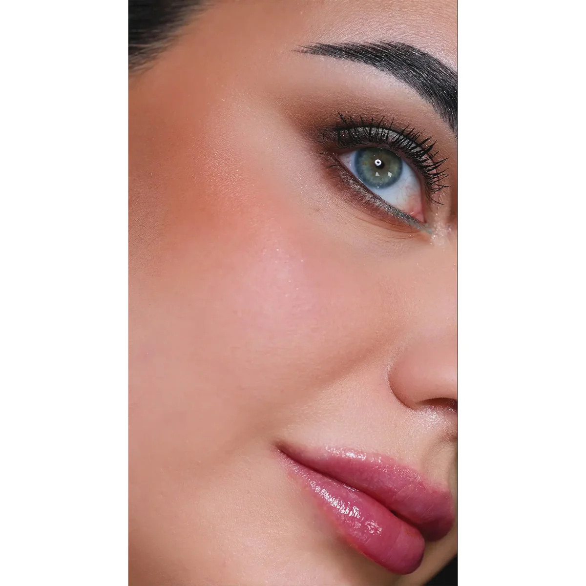 Palette Visage Blush + Bronzer Private Dream - Image 10